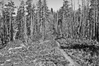 Black & White Hiking Trail Near Chelan preview