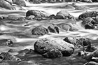 Black & White Streaming River & Big Rock preview