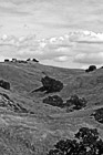 Black & White Green Hill & Scenic Sky Scene preview