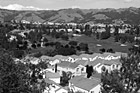 Black & White Silver Creek Valley, San Jose preview