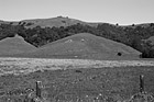 Black & White Marin County Landscape of Hills preview