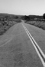 Black & White Marin County Farm Road preview