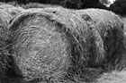 Black & White Bundles of Hay preview