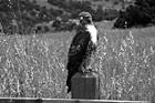 Black & White Hawk on Post preview