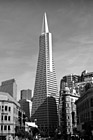 Black & White Transamerica Pyramid preview