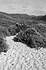 Black & White Hiking at Kehoe Beach, California preview