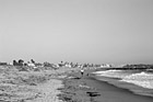 Black & White Ventura, California Beach preview
