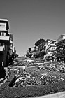 Black & White San Francisco's Lombard Street preview