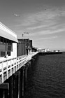 Black & White Santa Cruz Pier preview