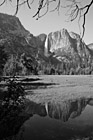 Black & White Yosemite Falls Reflection preview