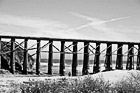 Black & White Coastal Fort Bragg, California preview
