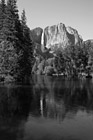 Black & White Yosemite Falls with Reflection preview
