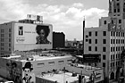 Black & White Hollywood, California Buildings preview