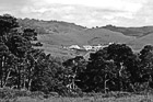 Black & White Farm in Marin County, California preview