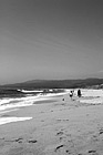 Black & White Beach at Half Moon Bay preview