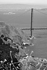 Black & White Alcatraz & Golden Gate Bridge preview