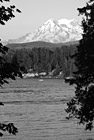 Black & White Mt. Rainier Through Trees & Lake preview