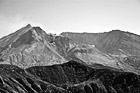 Black & White Mount St. Helens & Bird preview