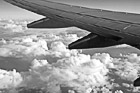 Black & White Airplane's Wing preview