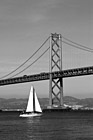 Black & White Bay Bridge & Sailboat preview