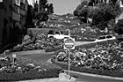 Black & White Lombard Street preview