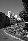 Black & White Crooked Lombard Street preview