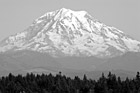 Black & White Mt. Rainier North Side Close Up preview