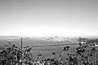 Black & White Golden Gate Bridge from Hawk Hill preview