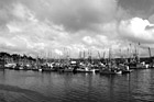 Black & White Sailboats of Newport, Oregon preview