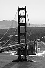 Black & White Vertical Golden Gate Bridge preview