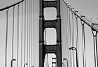 Black & White Driving on Golden Gate Bridge preview