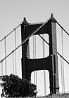 Black & White Tip of Golden Gate Bridge preview