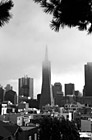 Black & White San Francisco & Transamerica Pyramid preview