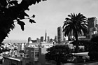 Black & White Scenic Downtown San Francisco preview