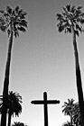 Black & White Cross & Two Tall Palm Trees preview