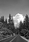 Black & White Road in Yosemite National Park preview