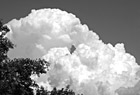 Black & White Big White Puffy Cloud preview