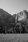 Black & White Yosemite Falls & Grass Field preview