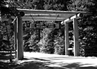 Black & White Mount Rainier National Park Entrence preview