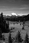 Black & White Mount Rainier at Tipsoo Lake preview