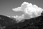 Black & White Yosemite & Half Dome in Distance preview