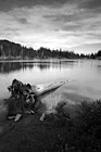 Black & White Log & Reflection Lake preview