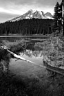 Black & White Mount Rainier Reflection & Log preview