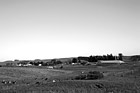 Black & White Cows, Hay, & Farm preview