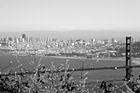 Black & White Golden Gate Bridge & Yellow Flowers preview