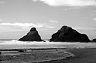 Black & White Scenic Oregon Coast Sea Stacks & Ocean preview