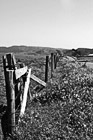 Black & White Country Fence & Road preview