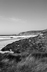 Black & White Kehoe Beach, Grass & Ocean preview