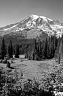 Black & White Mount Rainier & Open Field preview