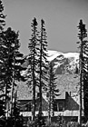 Black & White Mt. Rainier Behind Paradise Inn preview